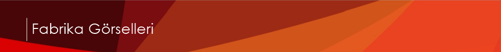 banner5